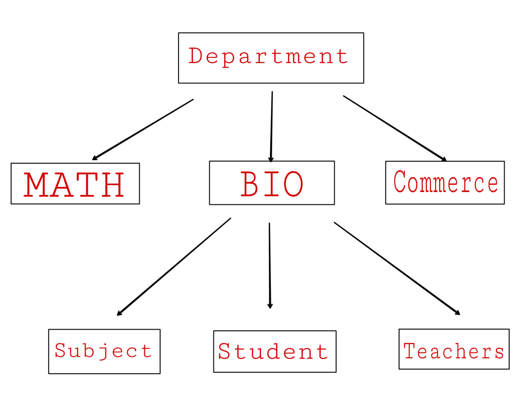 Hierarchical database in hindi