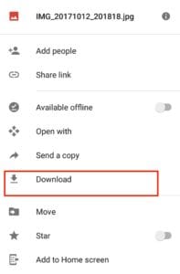 Click on download option