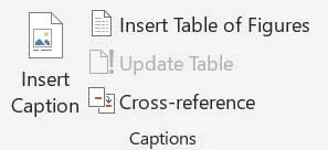 Referencestab Captions group