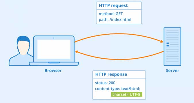 HTTP Request Response Cycle
